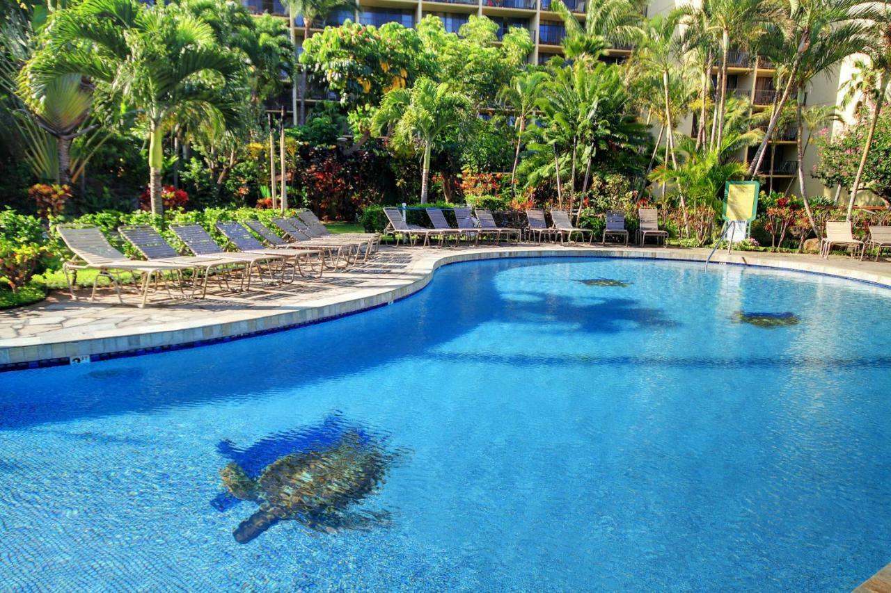 Kaanapali Shores 706 المظهر الخارجي الصورة